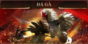 Hướng Dẫn Cách Chơi Đá Gà GA28 Tại W88 Cho Tân Thủ