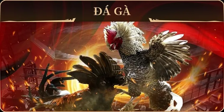 Hướng Dẫn Cách Chơi Đá Gà GA28 Tại W88 Cho Tân Thủ