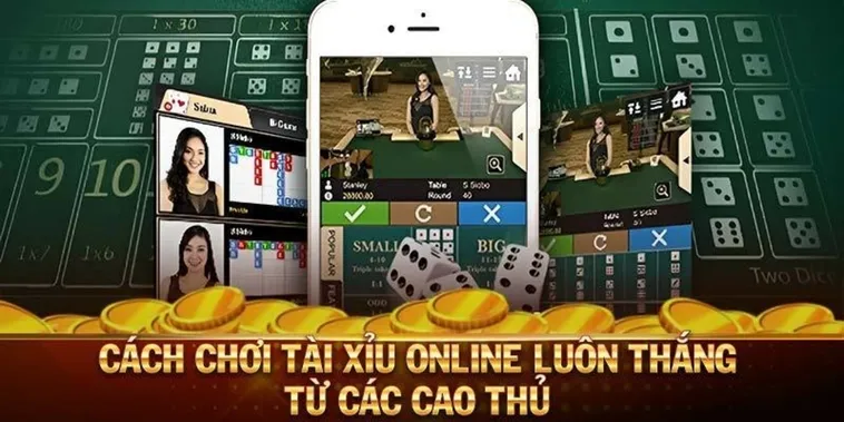 Hướng Dẫn Chơi Tài Xỉu W88 Hấp Dẫn Cho Người Mới Tham Gia